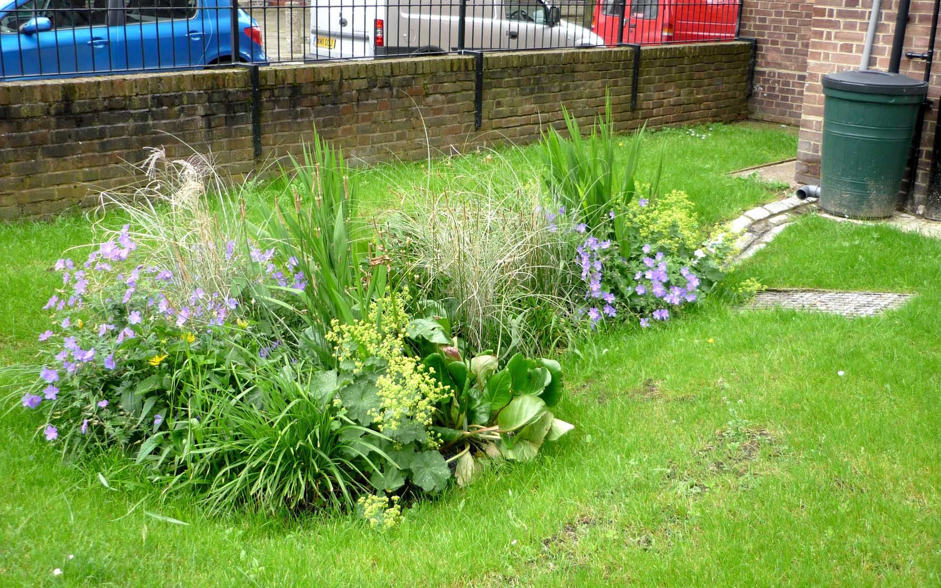 Commercial Rain Garden