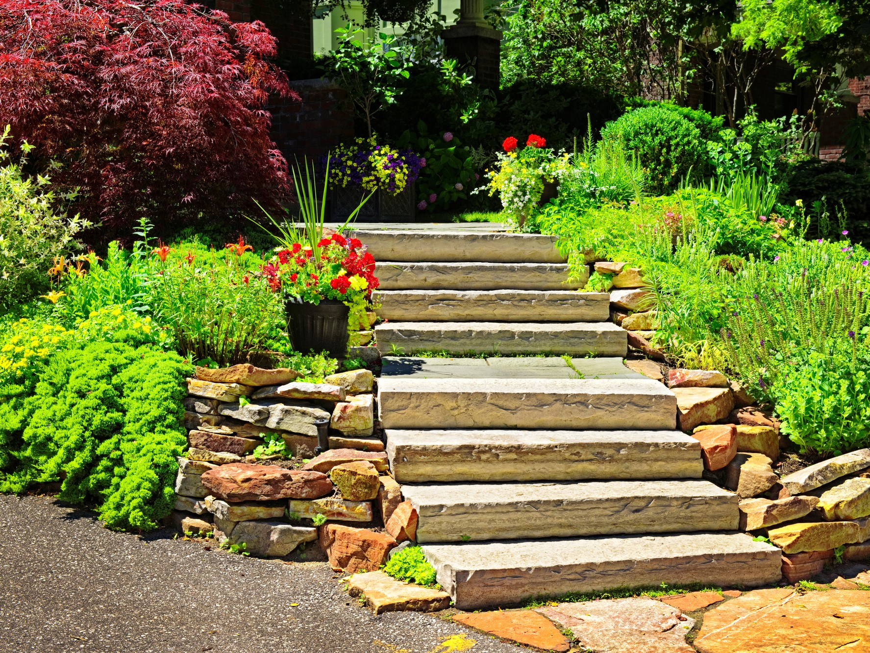 Stormwater Rain Garden Design Rain Garden Design