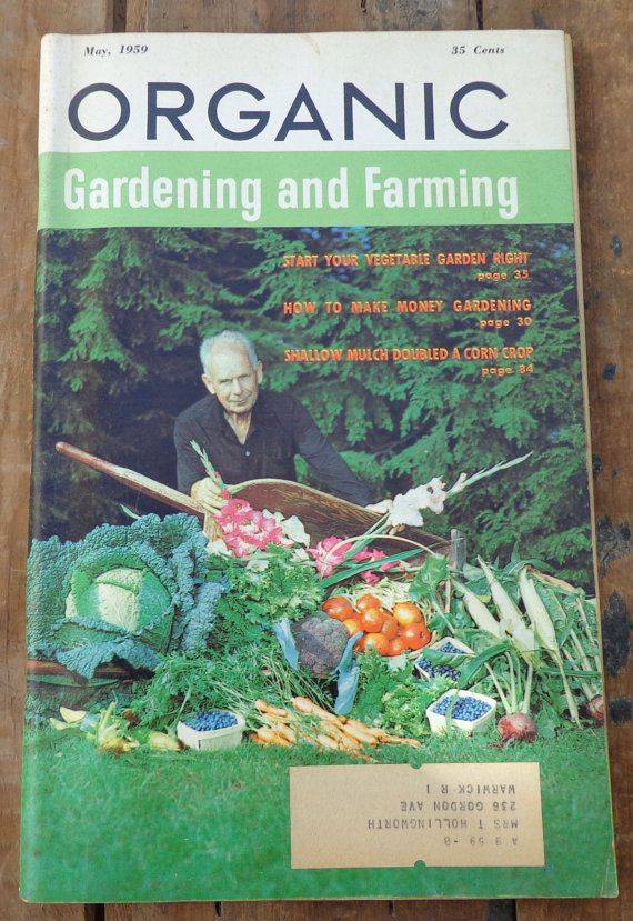 Less Magazine Grow Organic Vegetables Budget Garden