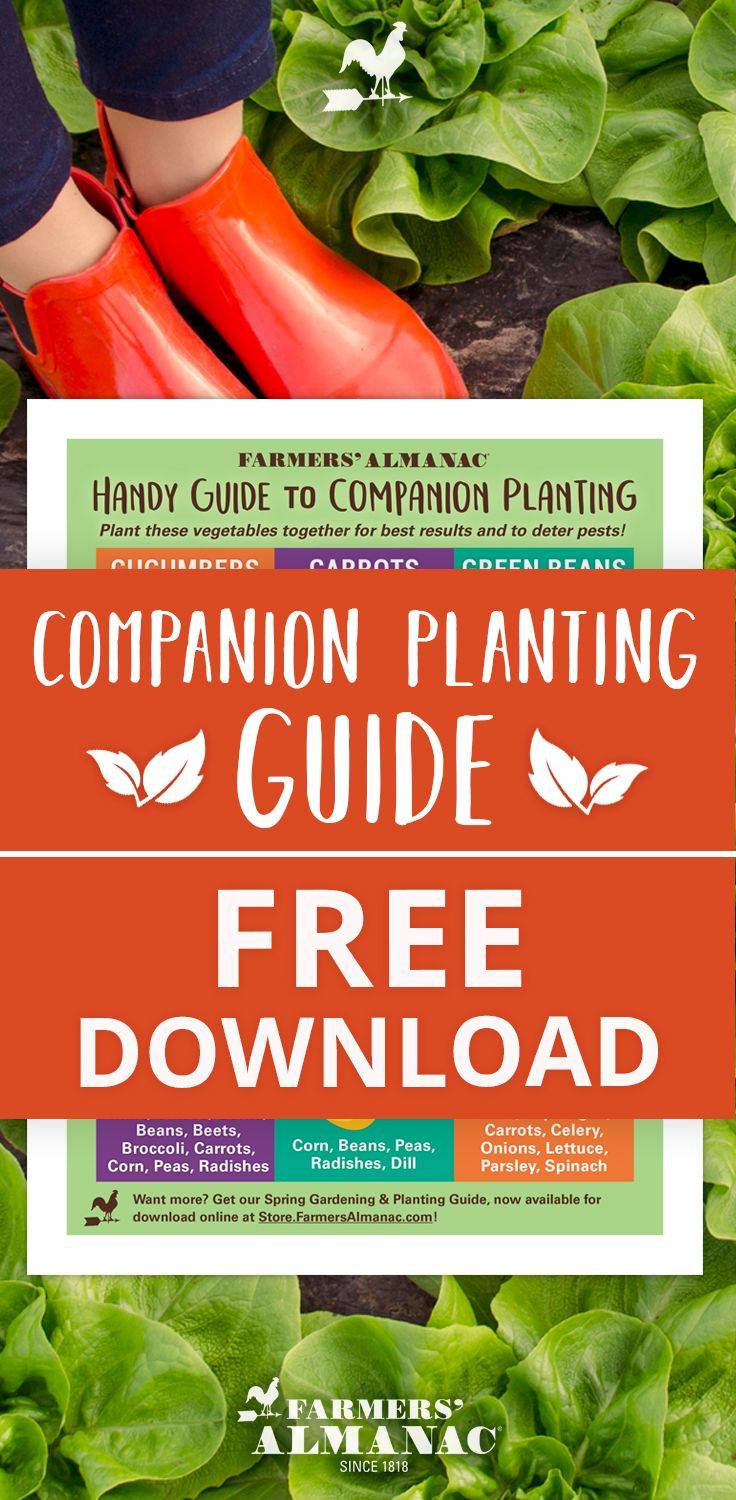 Mother Earth News Magazine Organic Gardening Guide