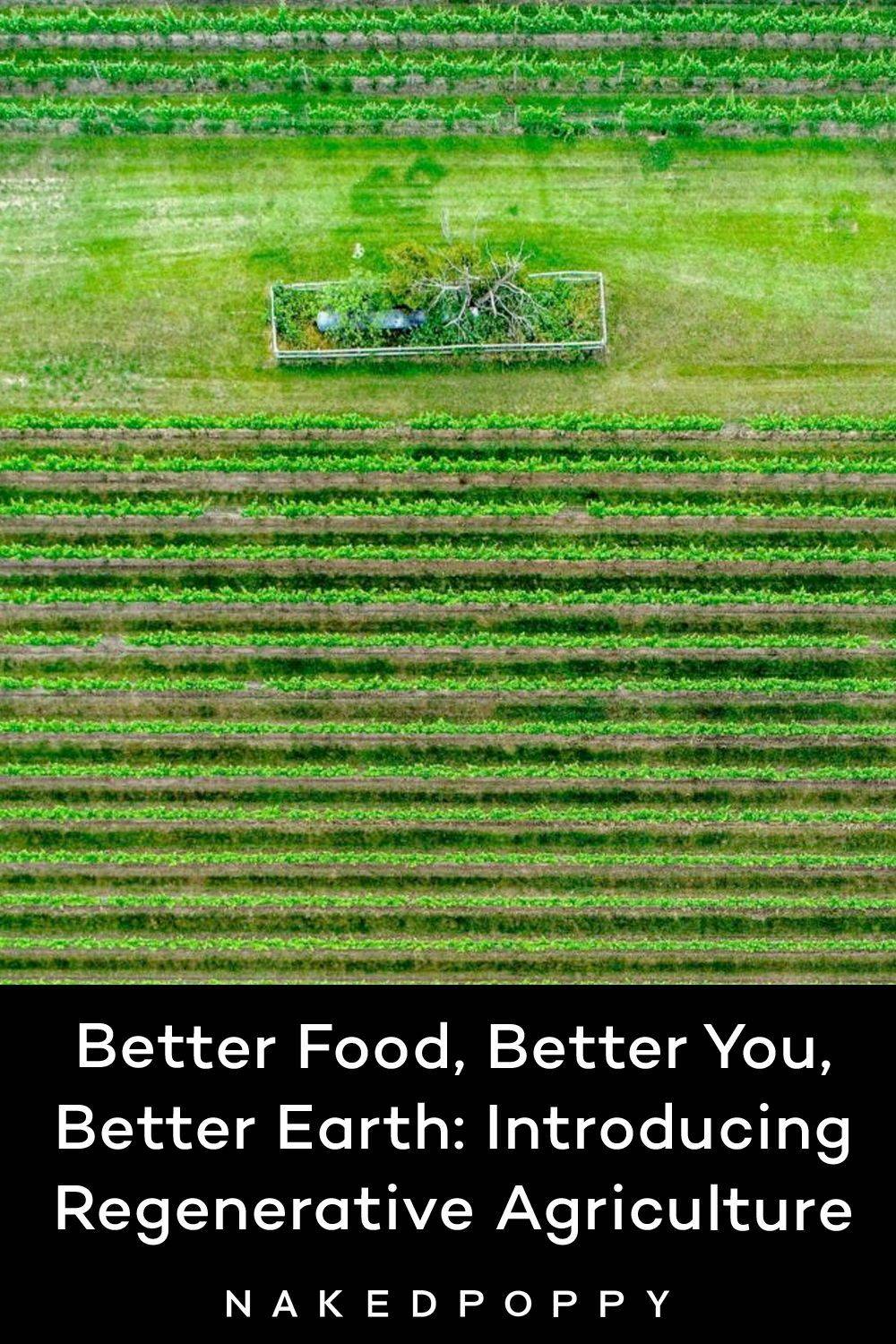 Regenerative Garden