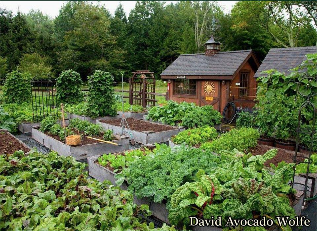 Regenerative Agriculture And Organic Gardening Ideas