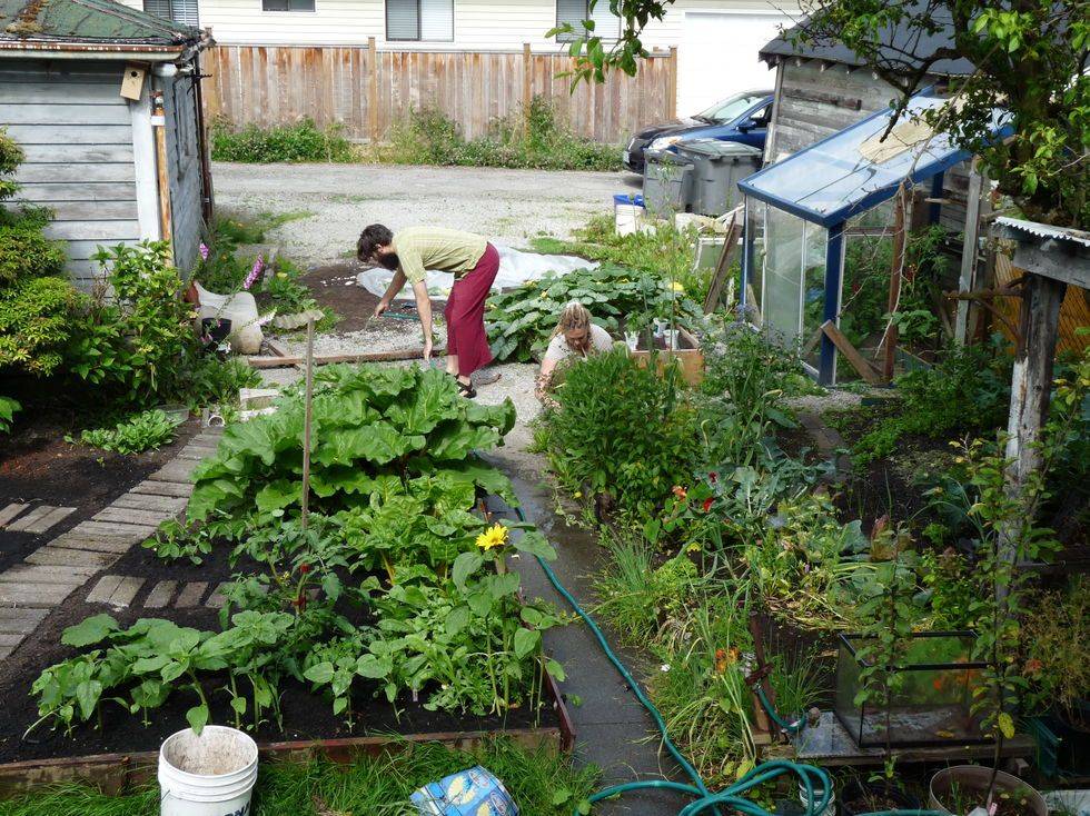Your Regenerative Organic Garden