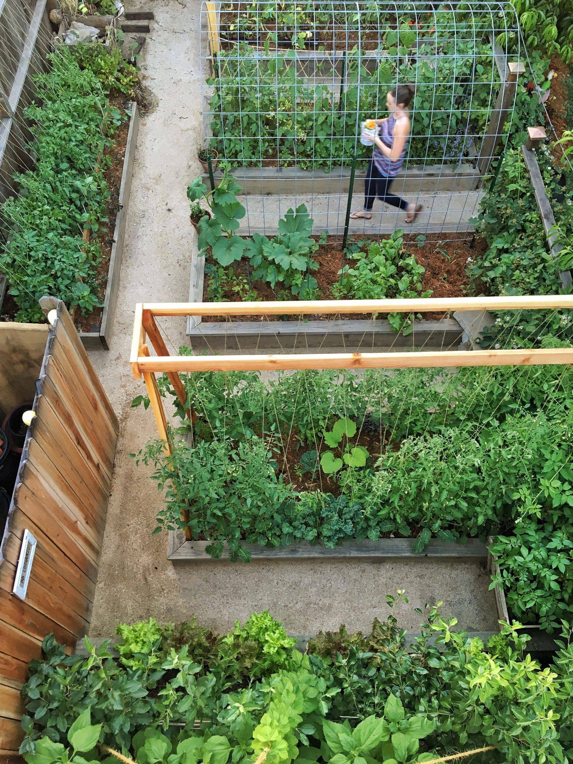21 Regenerative Vegetable Garden Ideas You Cannot Miss SharonSable