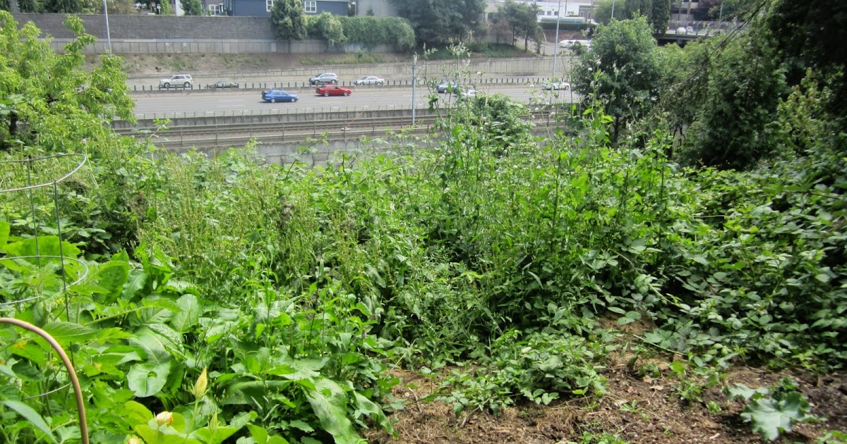 Gardenpuzzle Project Garden