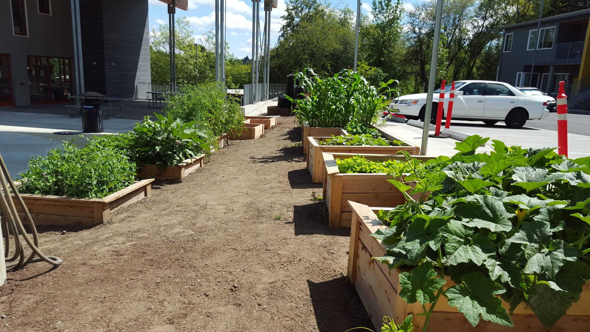 Portland Public Schools Gardens Katu