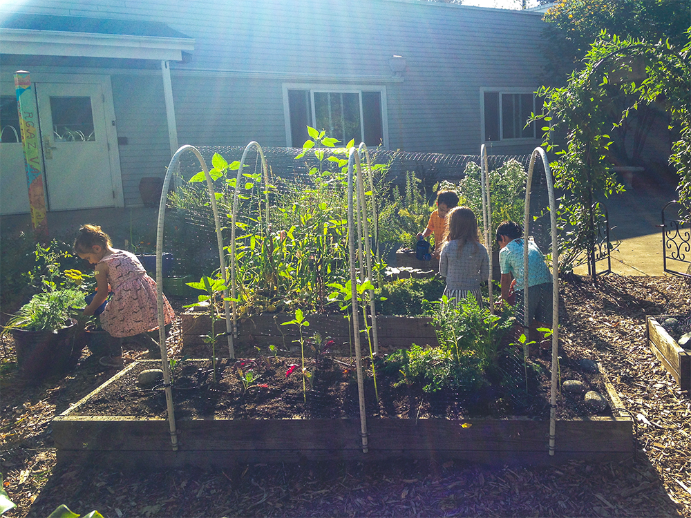 Traditional Landscape