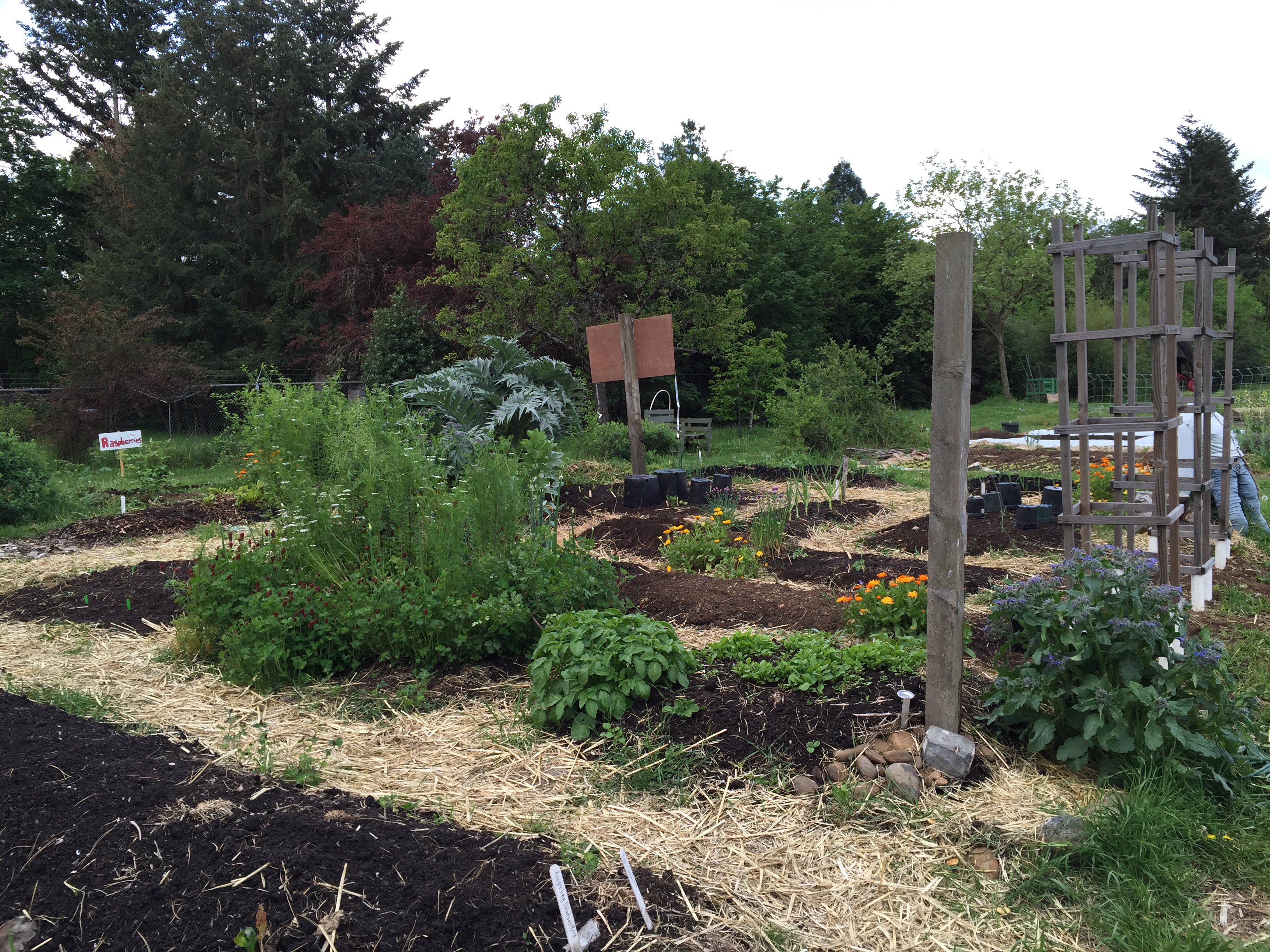 Southeast Learning Garden