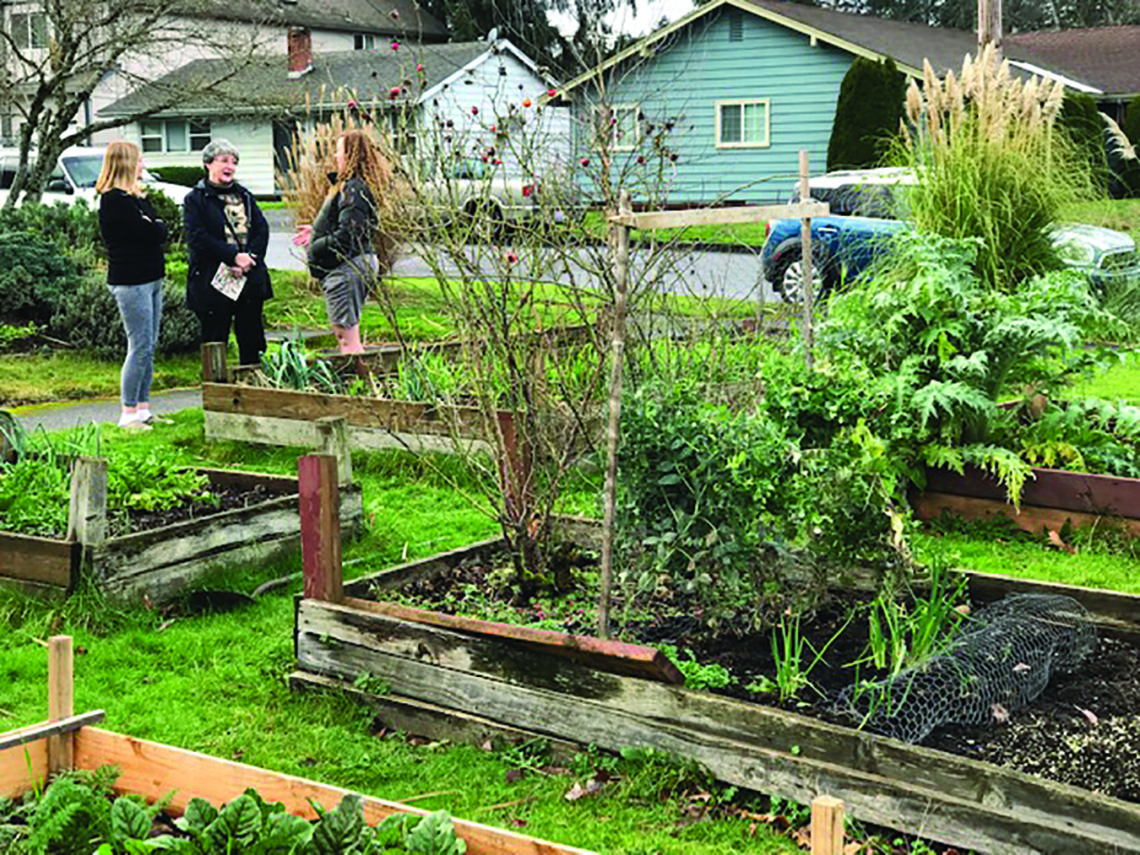 My Own Guerrilla Garden Projectportland