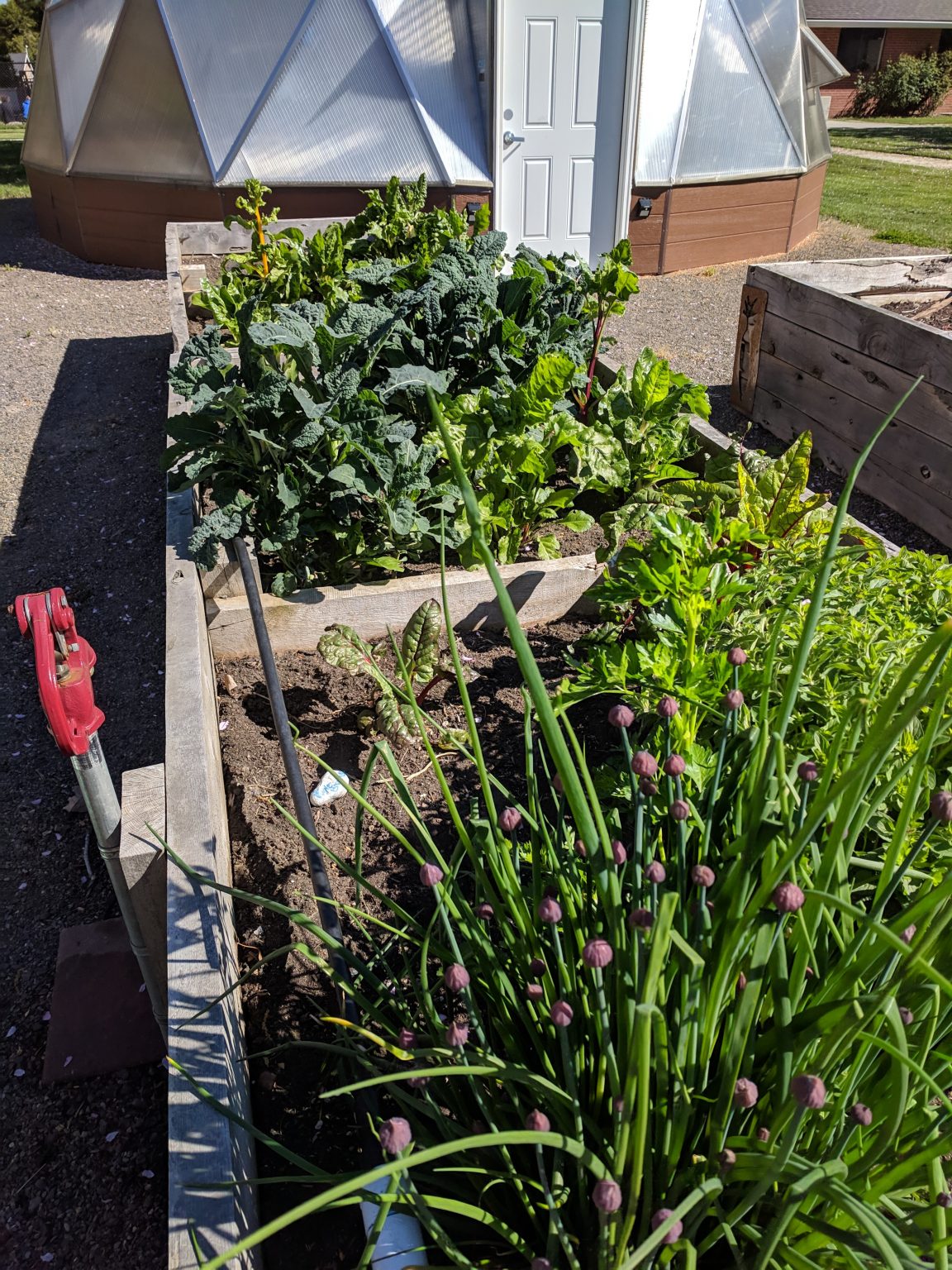 Green Living Journal