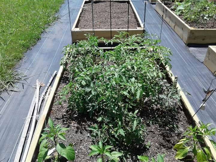 Fleet Farming Urban Farm