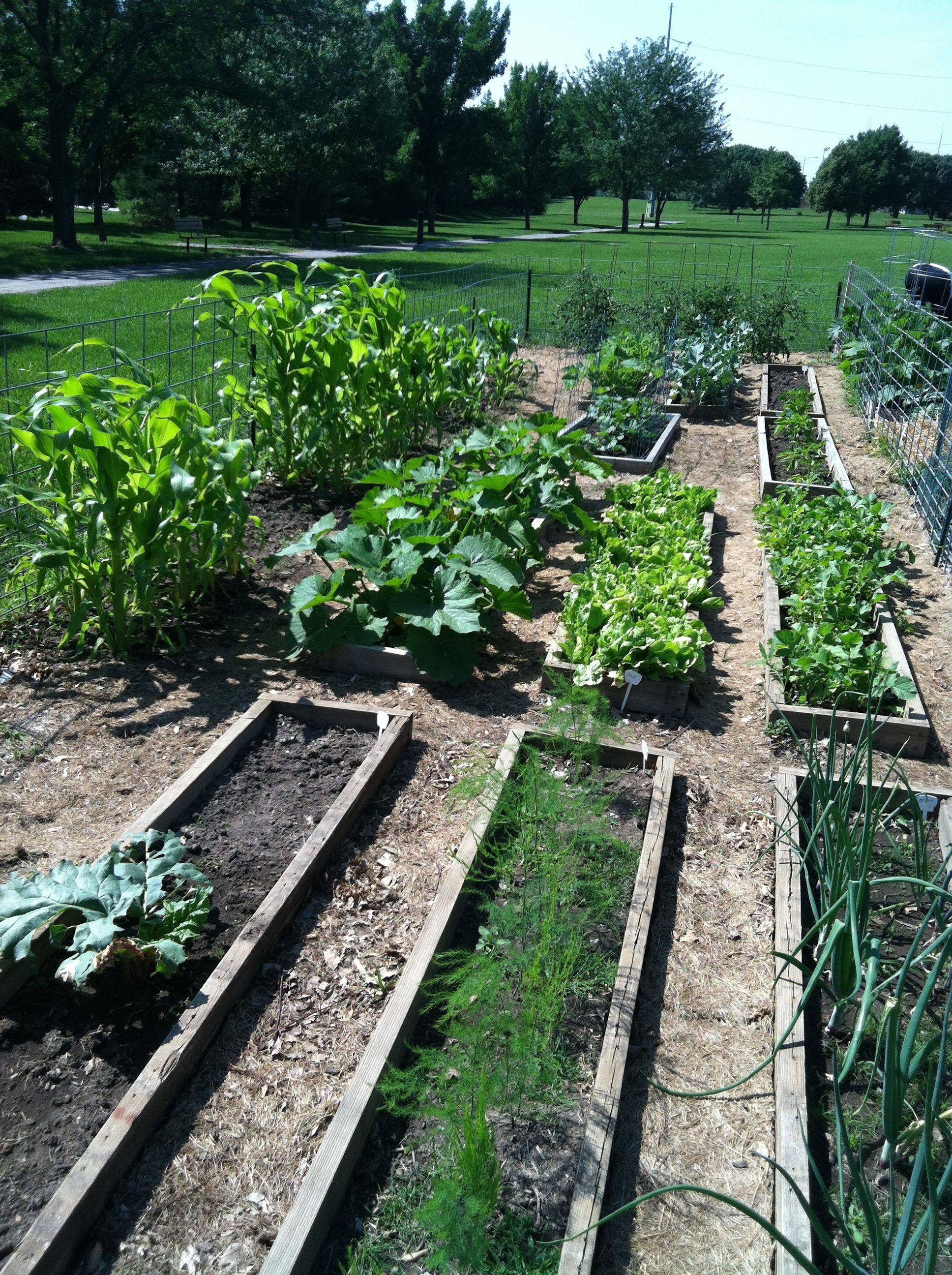 23 Community Garden Plots Ideas To Consider SharonSable