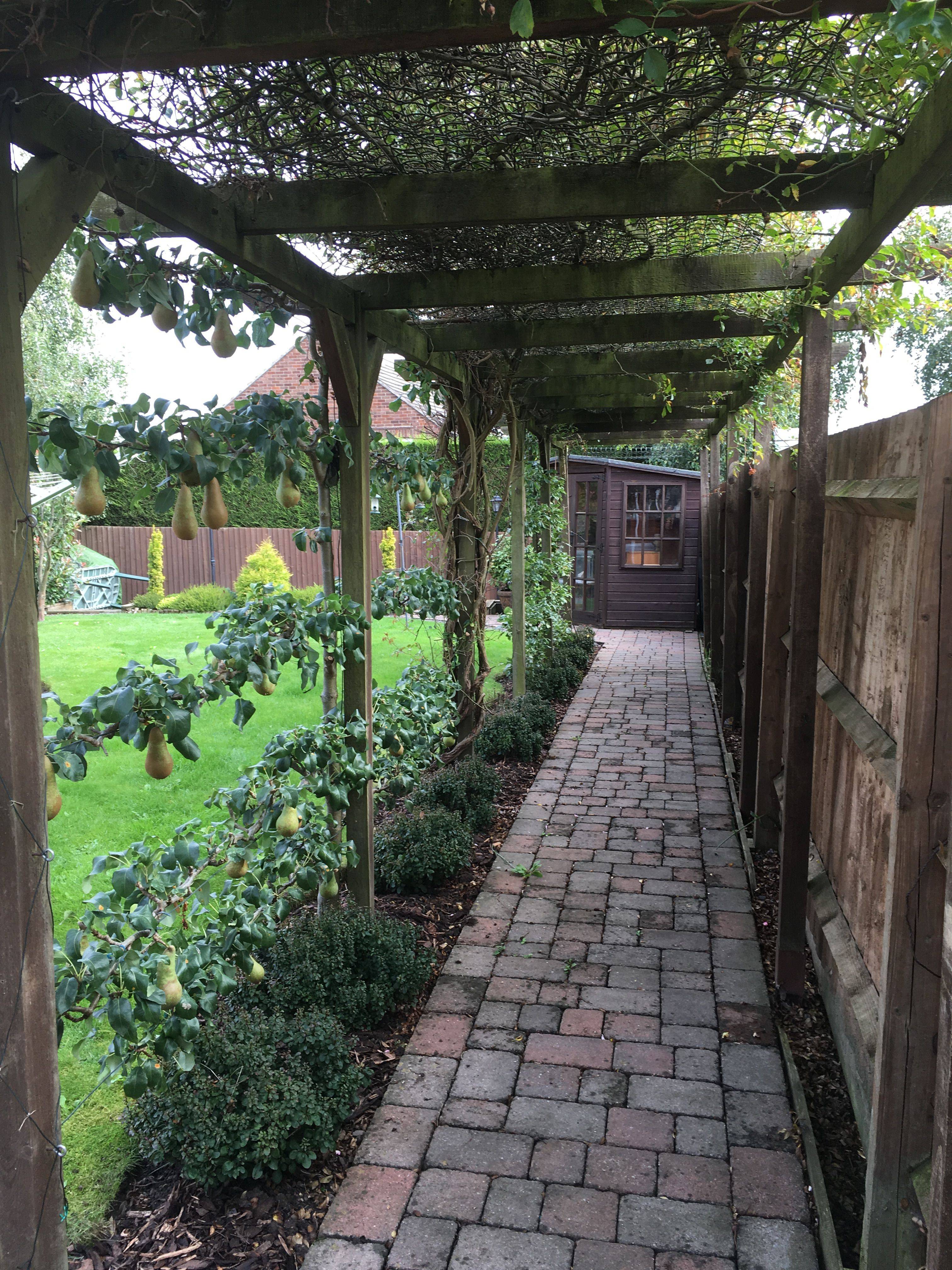 Most Popular Entrance Landscaping Garden