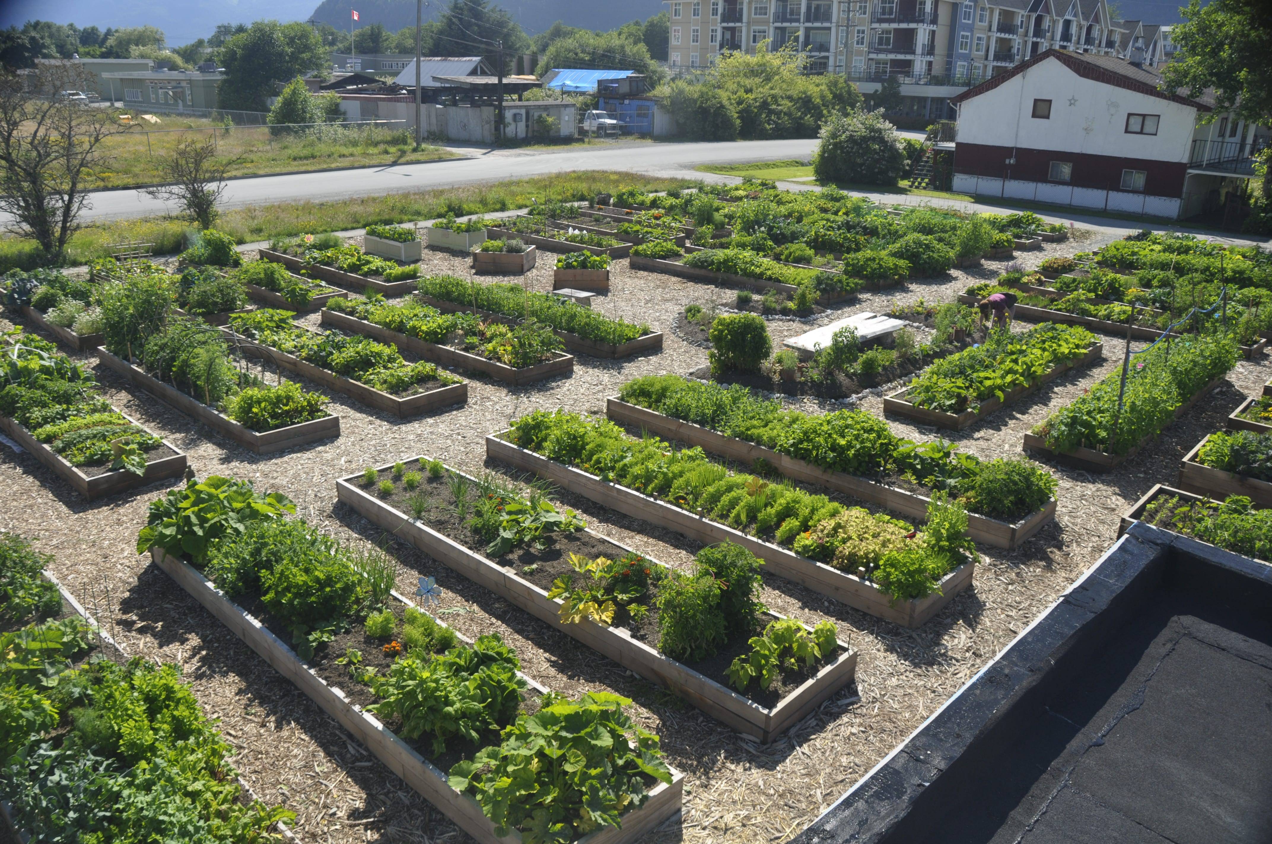 Best Top Community Garden Ideas