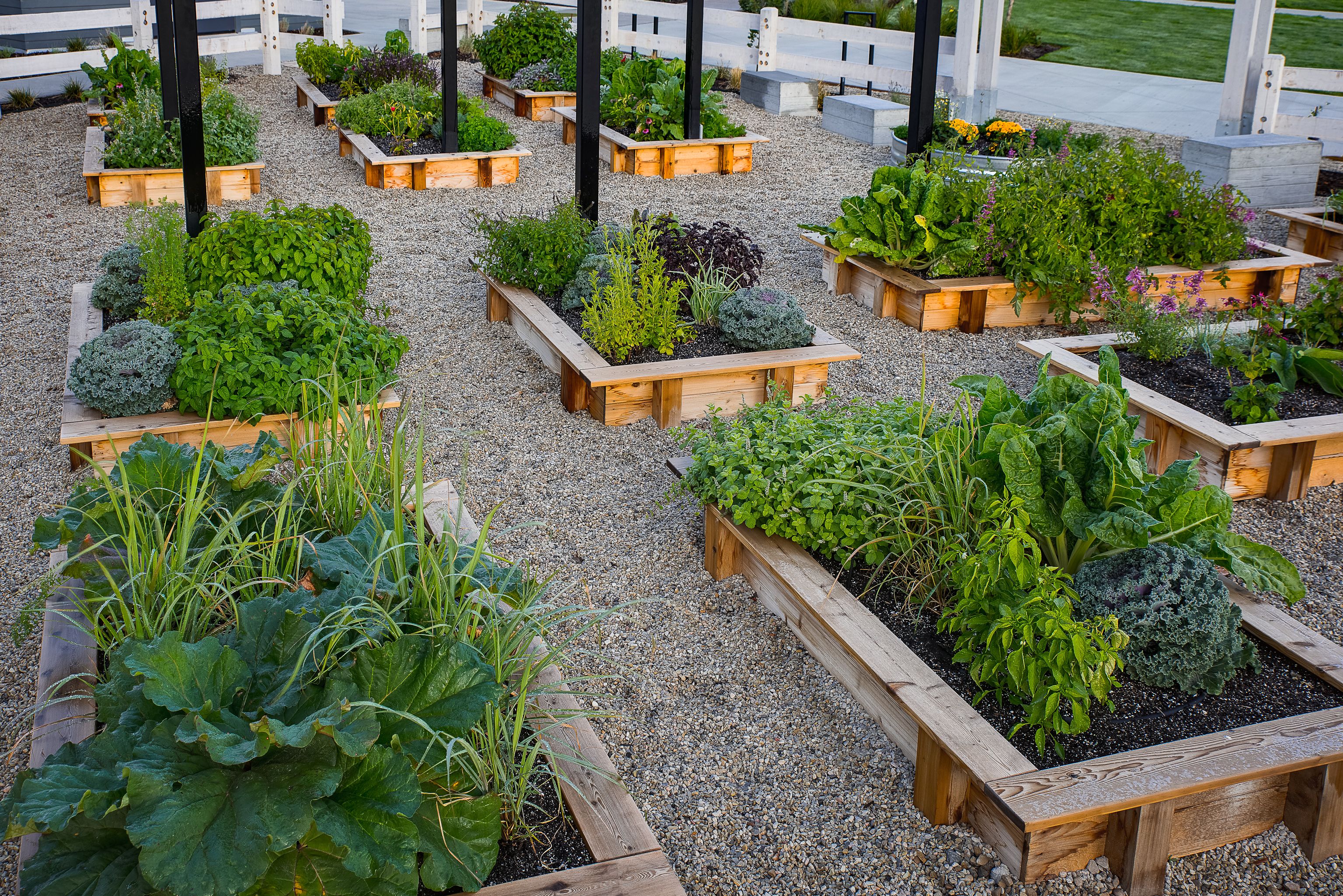Top Community Garden Ideas