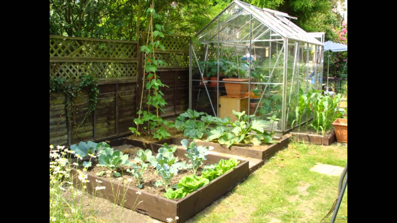 A Mini Greenhouse