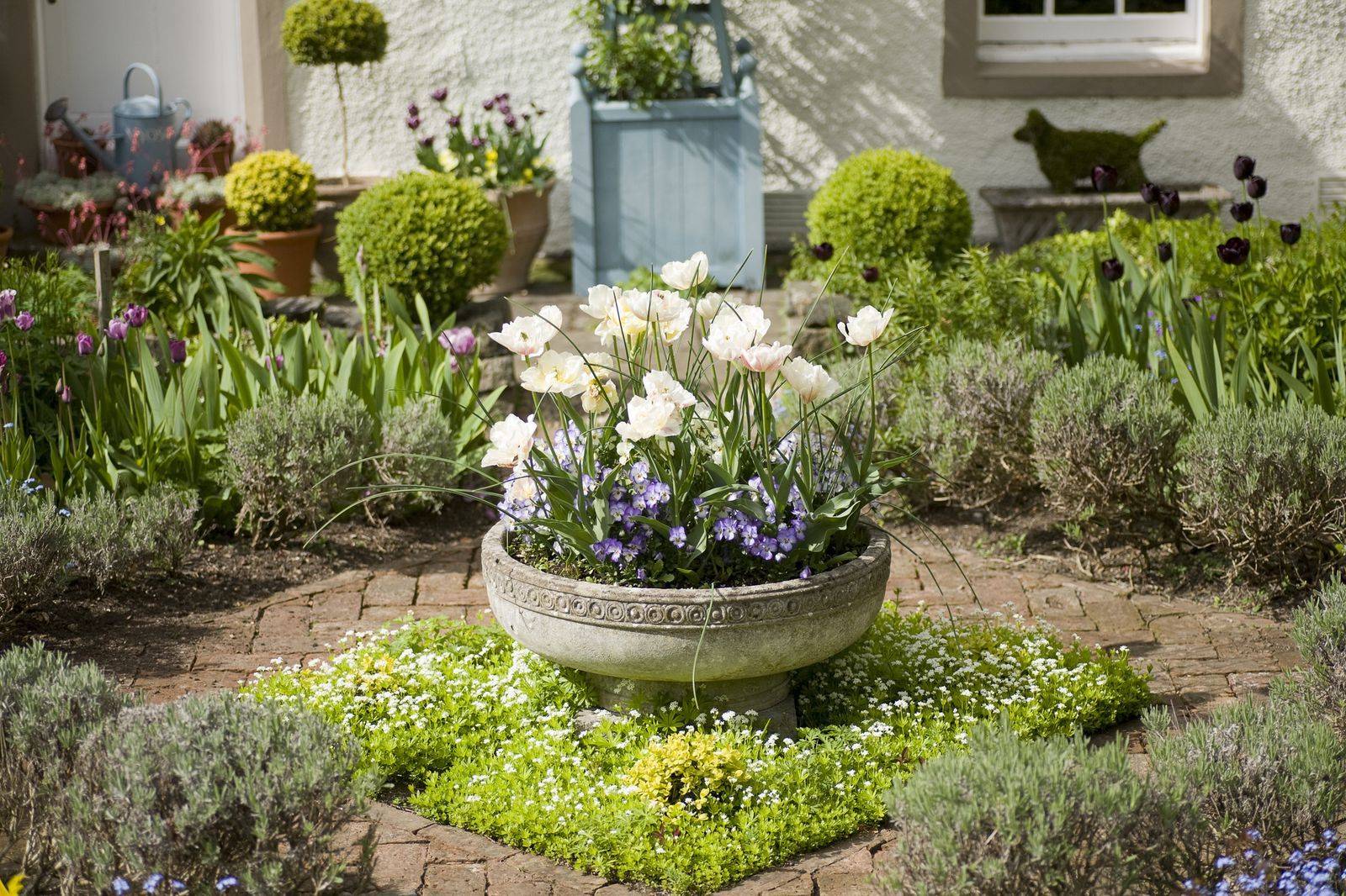 Best Rich Brothers Garden Design Images