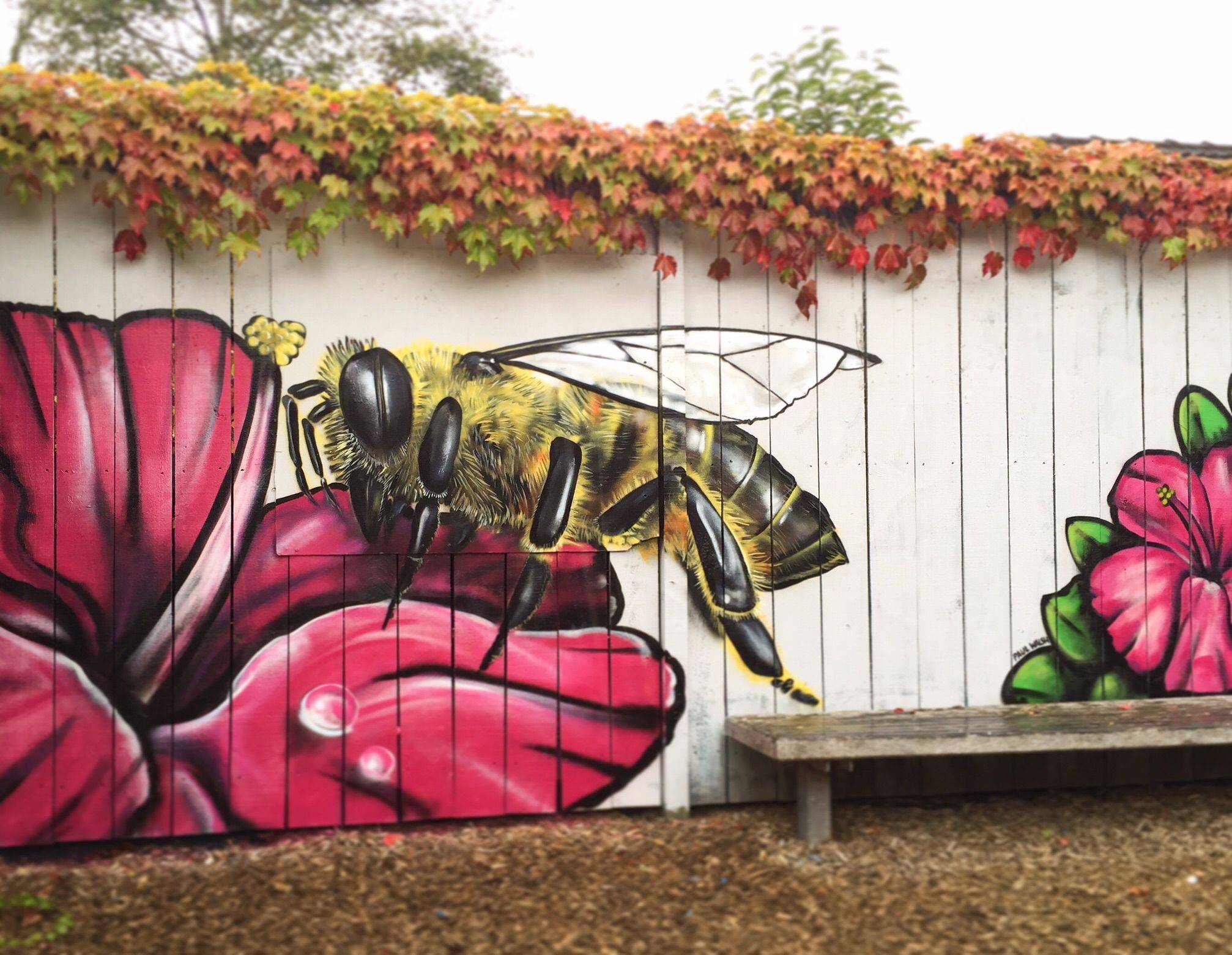 Murals Street Art