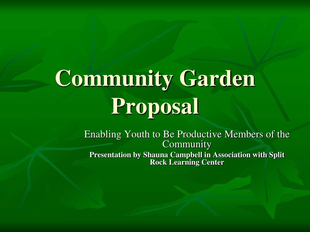 Warnersville Healthy Community Project Proposal