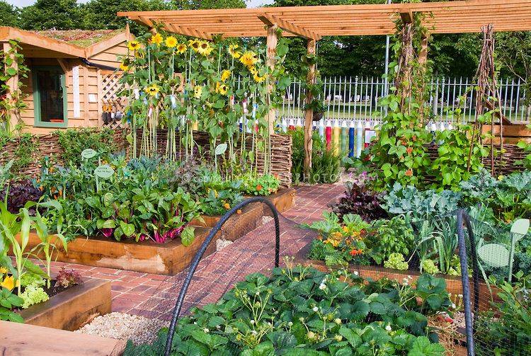 Fantastic Backyard Vegetable Garden Ideas