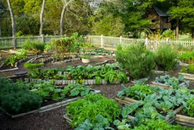 Impressive Garden Decor Ideas