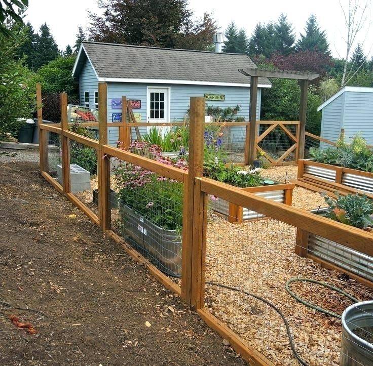 Brilliant Best Deer Resistant Garden Ideas Httpsfancydecorsco