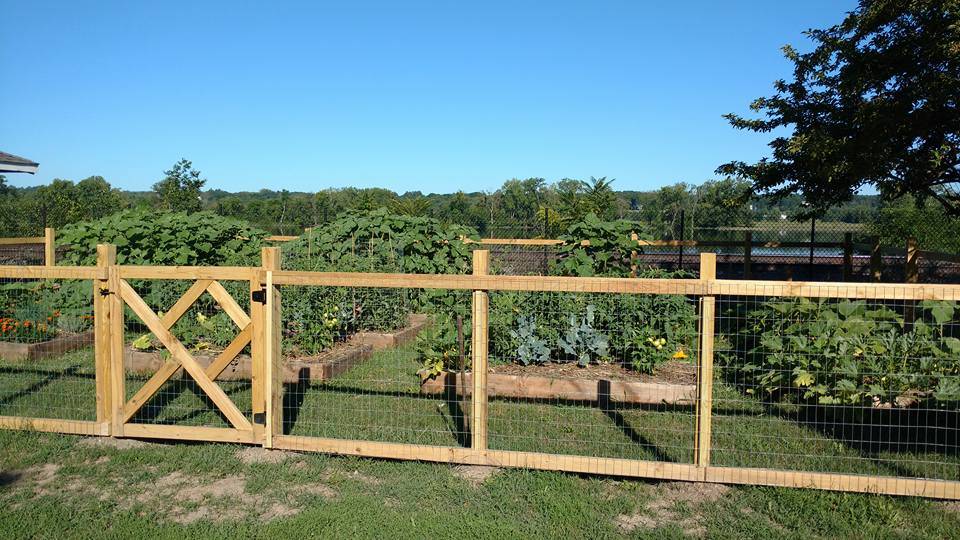 Vegetable Garden Gates Vegetable Garden Fence Ideas Rabbits Vegetable