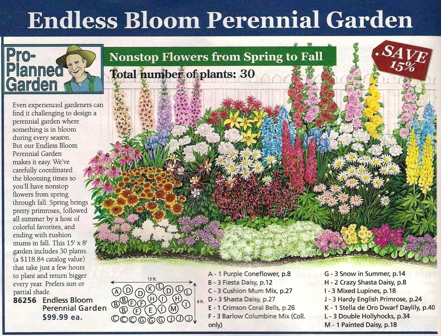 This Easycare Summer Garden Plan Bloom
