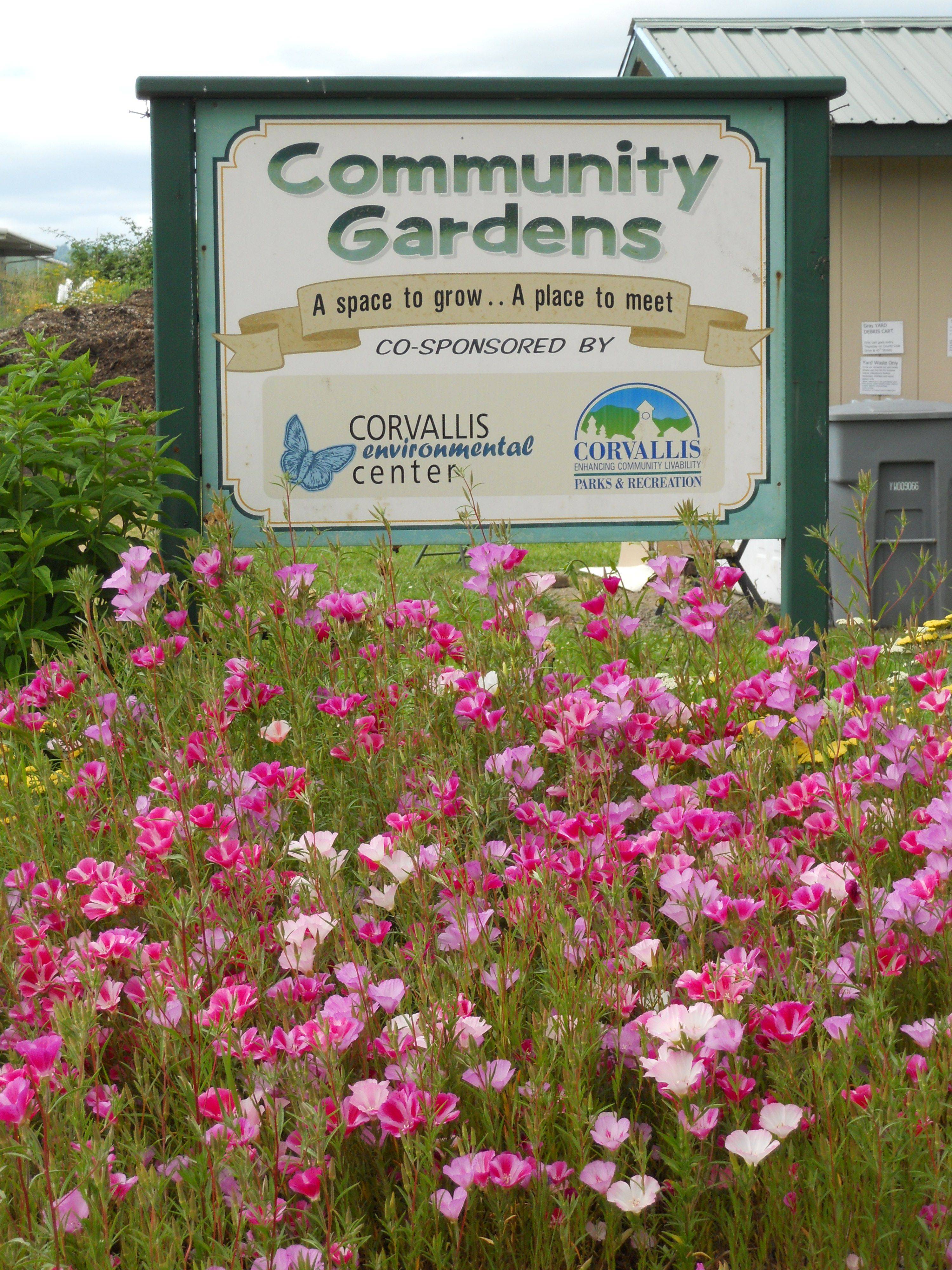 Best Community Garden Images