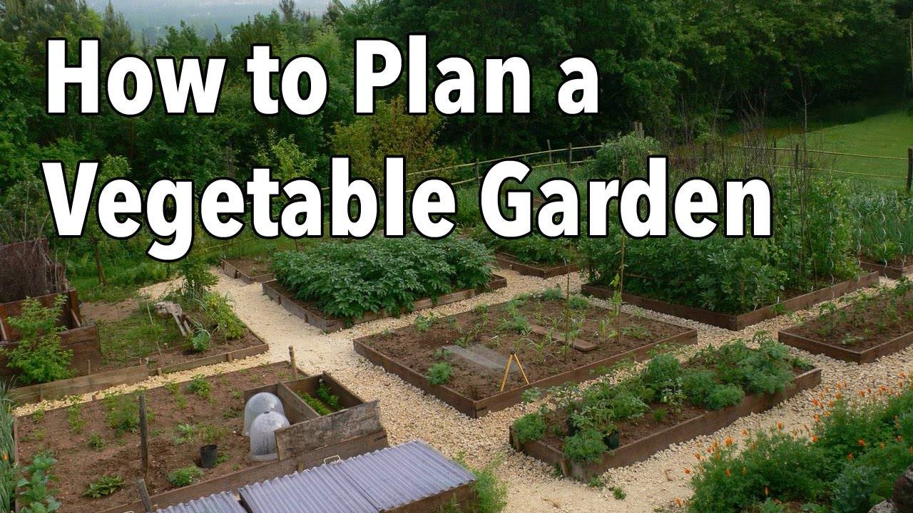 Vegetable Garden Plans