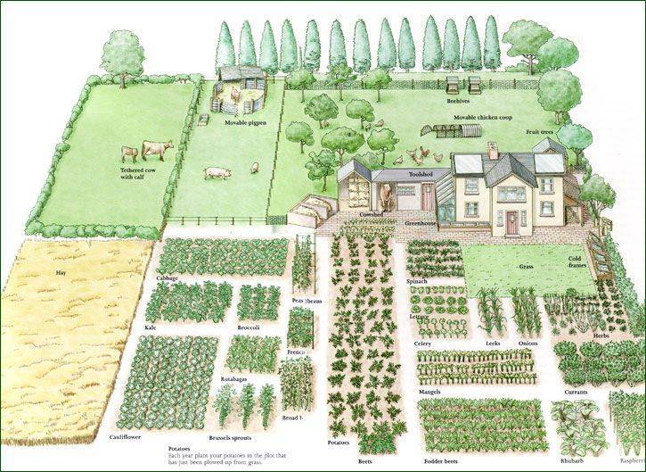 Free Vegetable Garden Plans