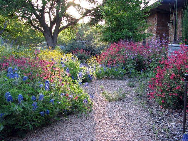 A Prairie Planting Idea