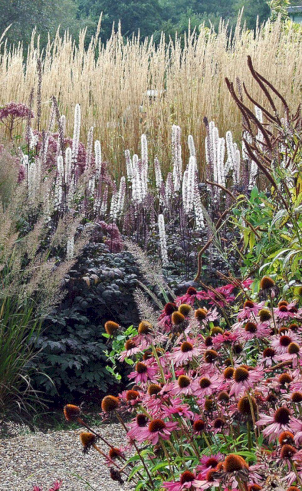 Gardening Vegetable Garden