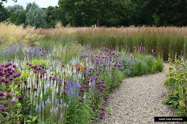 Prairie Planting