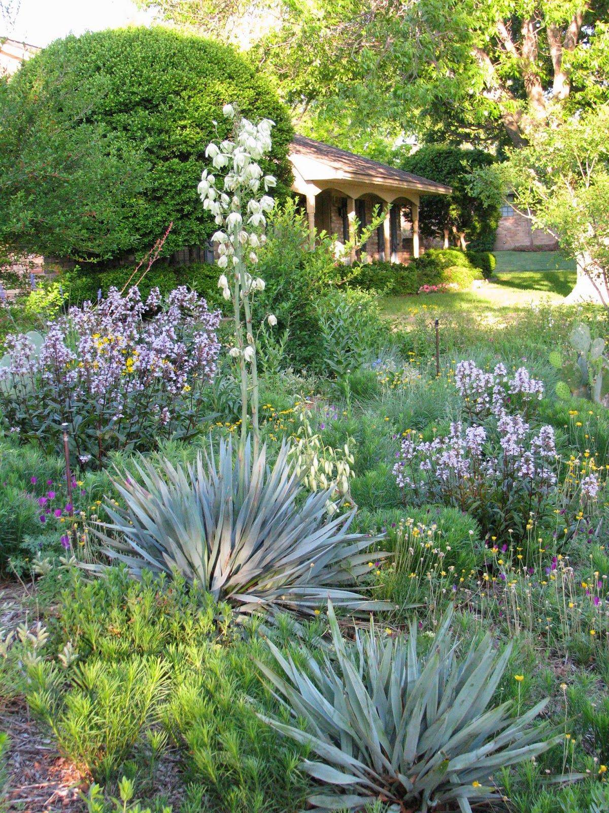 The Prairie Garden