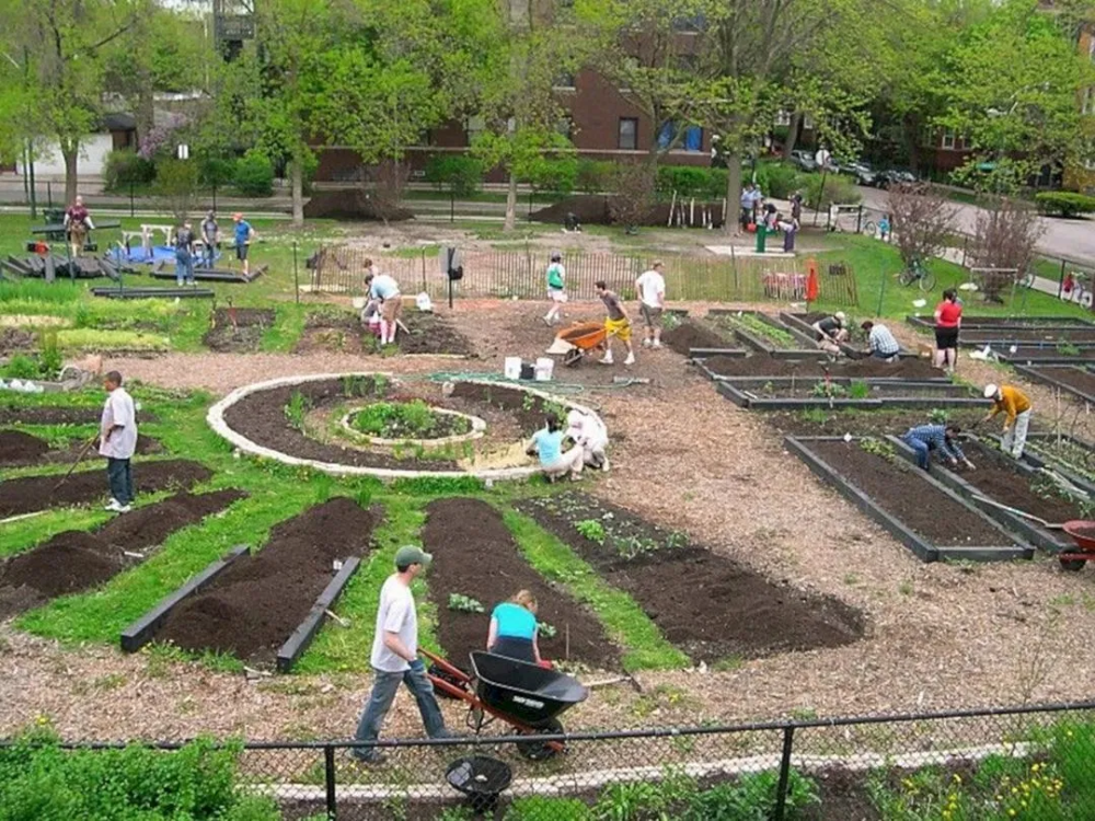 Rd Street Community Garden Scape