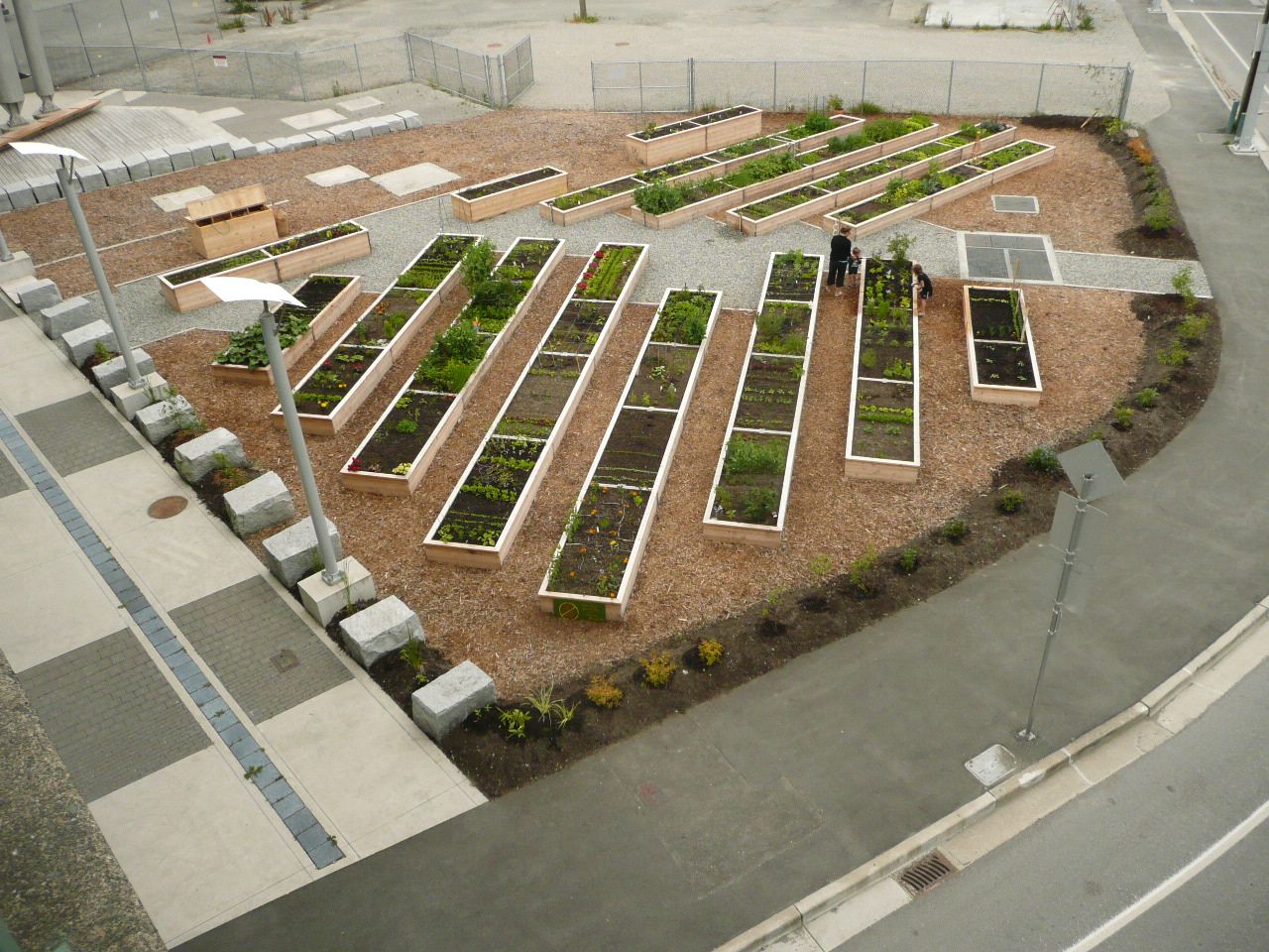 Canterwood Grounds Improvement Ideas