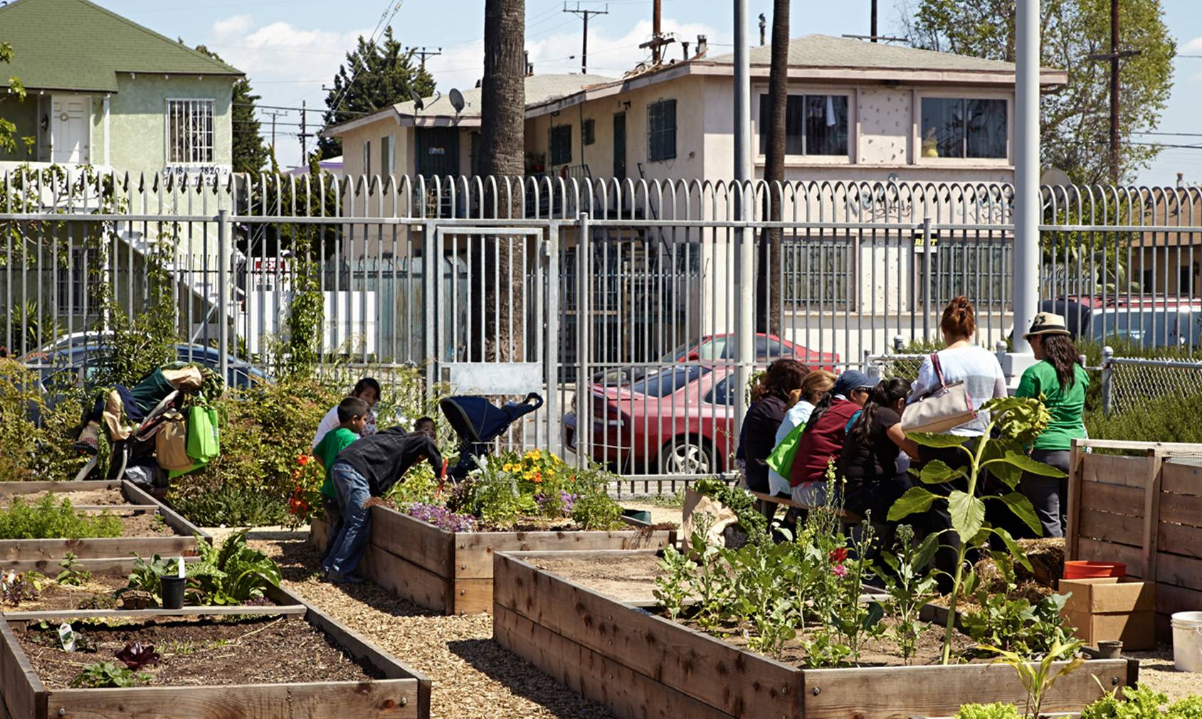 Community Garden Darby Street Mud Landscape Design