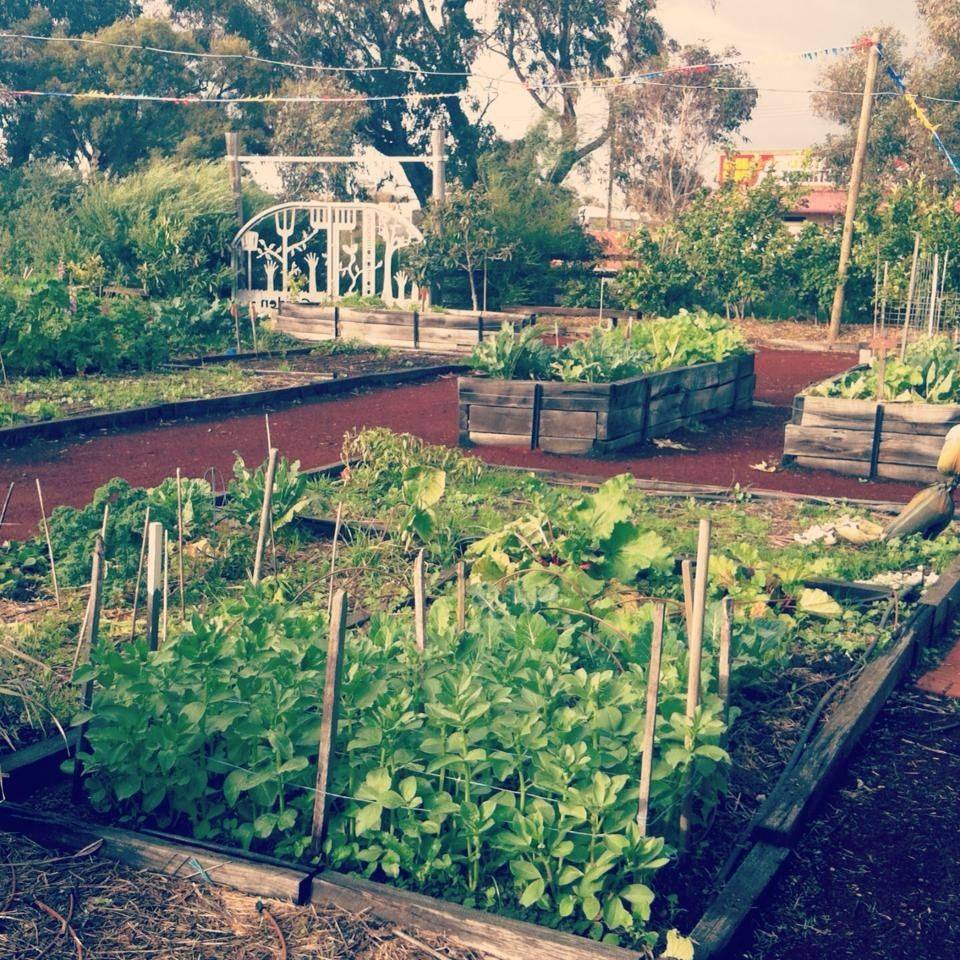 A Community Garden Garden