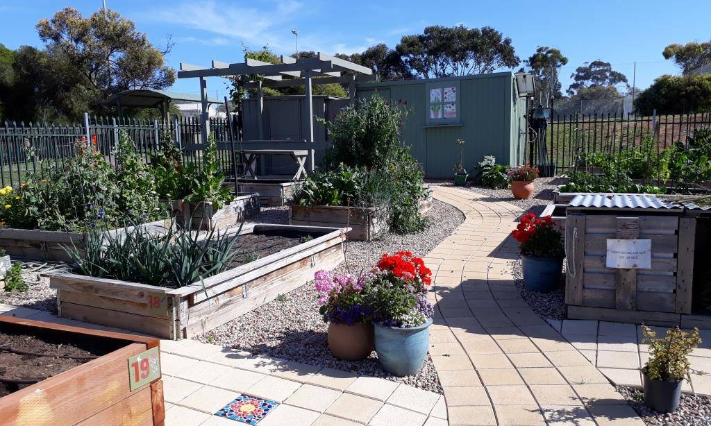 Community Gardens Germinate