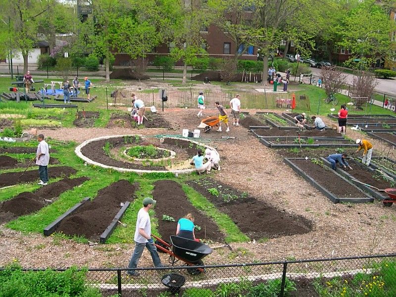 Community Garden Urban Garden Design