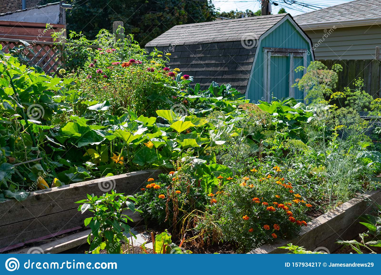 Scotts Miraclegro Community Garden Campus