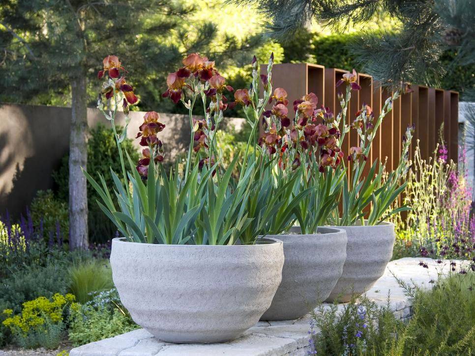 Beautiful Container Garden Flower Ideas Trenduhome