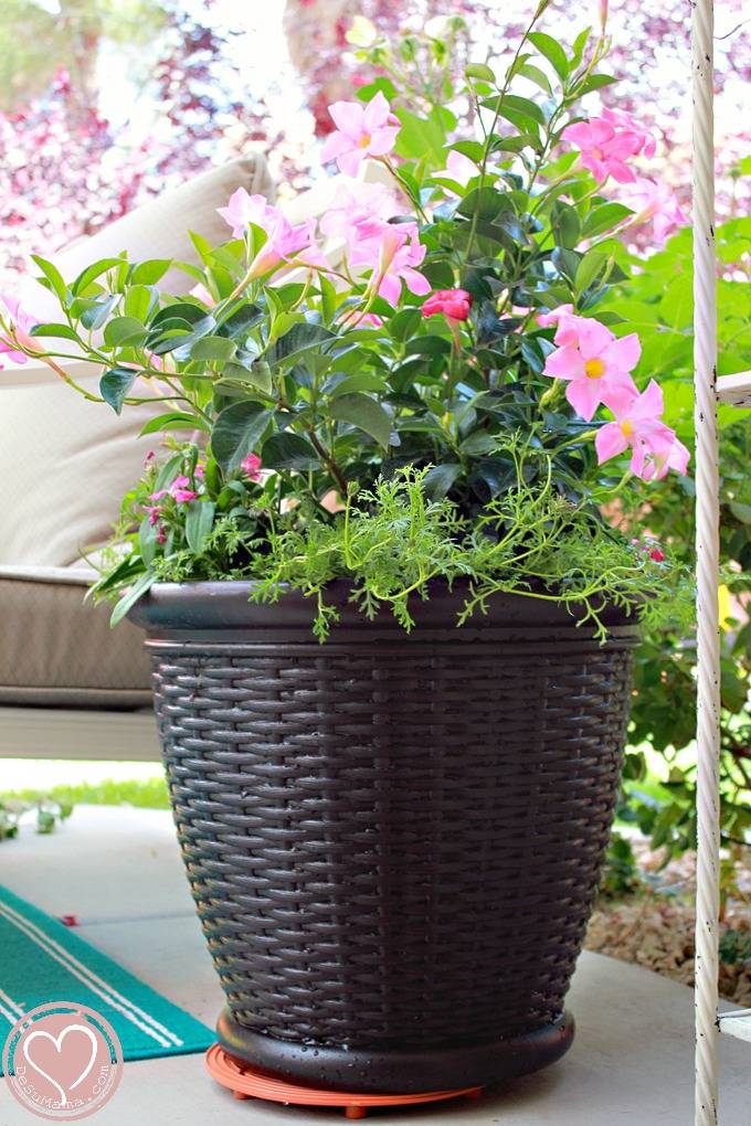 A Beautiful Spring Garden