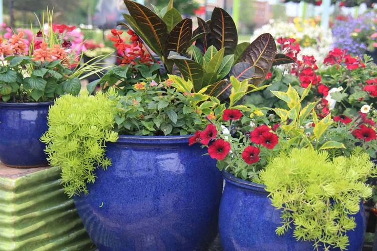 Best Large Planters