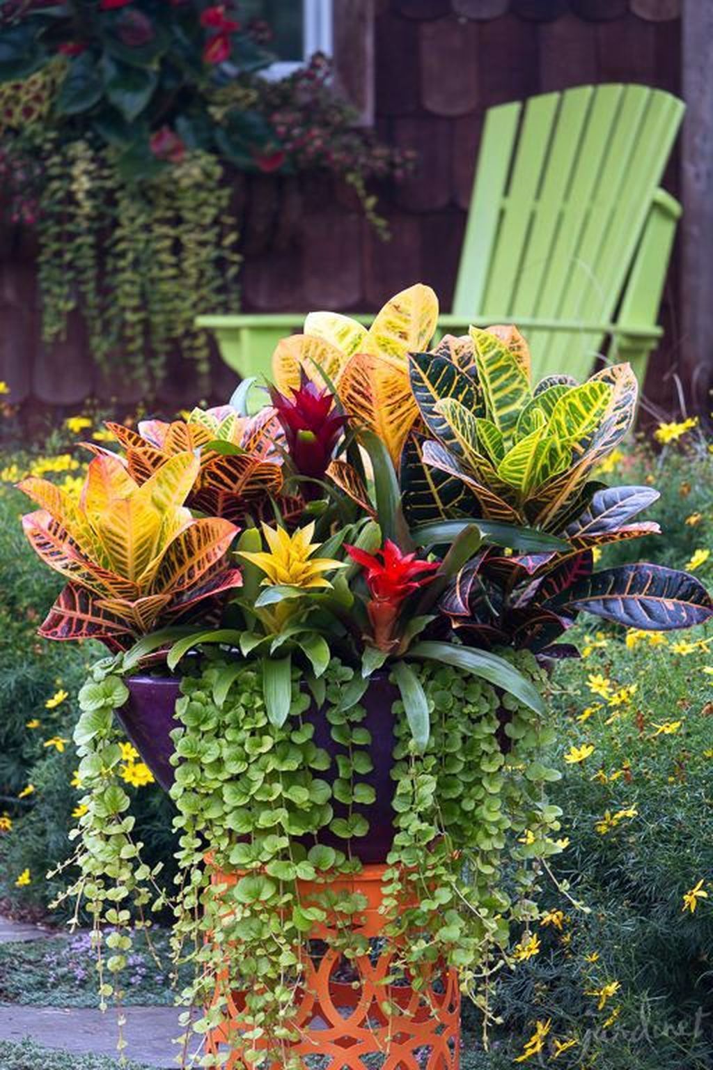 Pots Plant Booster