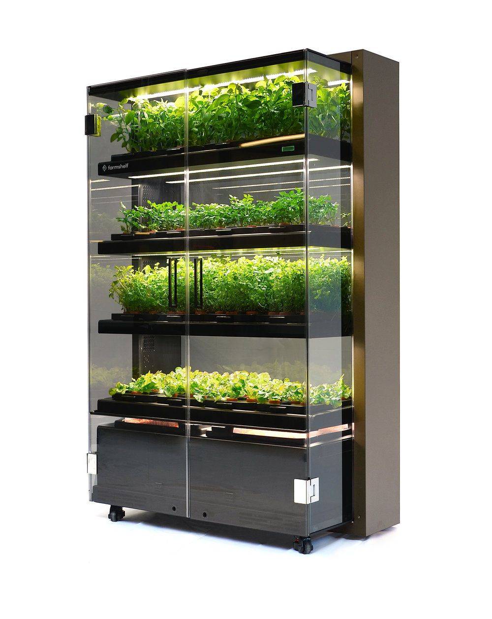 Inspiring Hydroponic Gardening Ideas