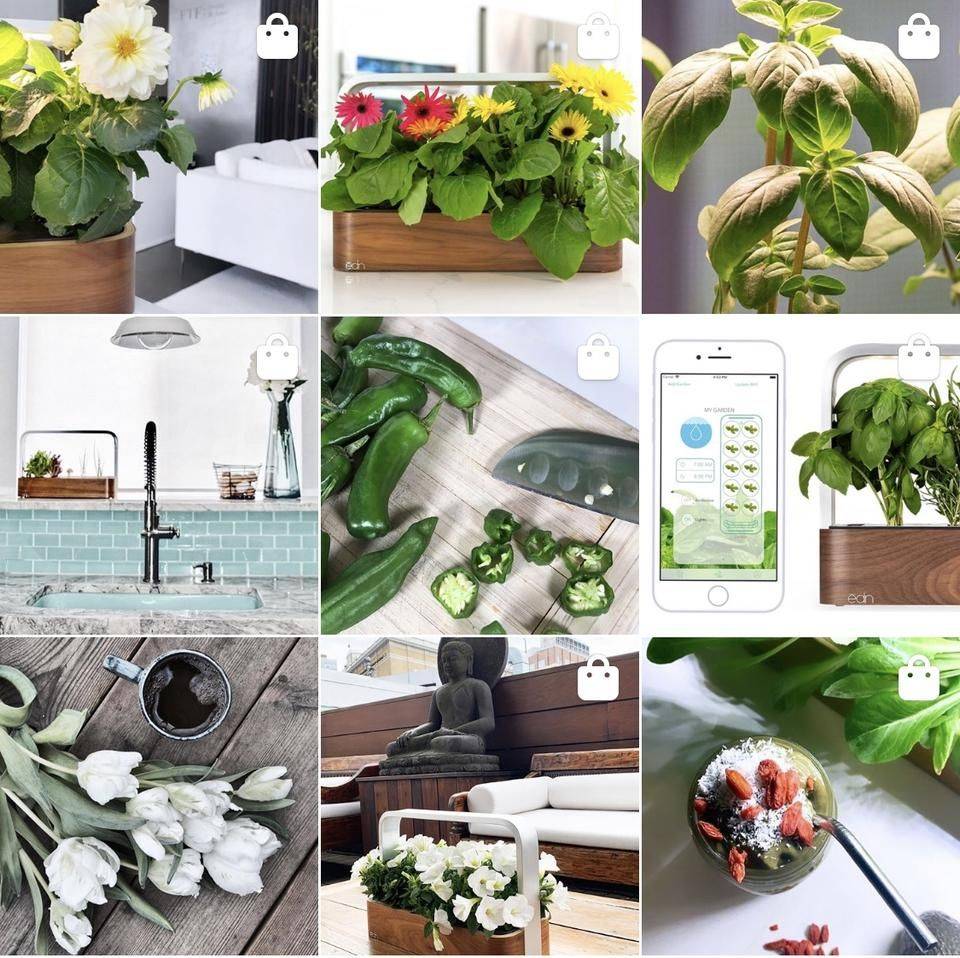 Hydroponic Indoor Vertical Garden