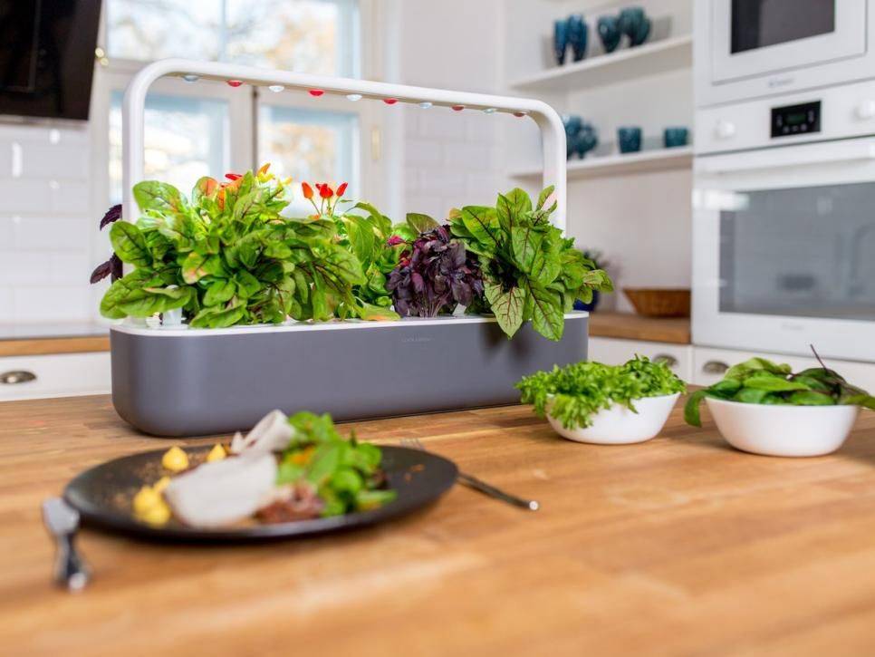 Hydroponics System