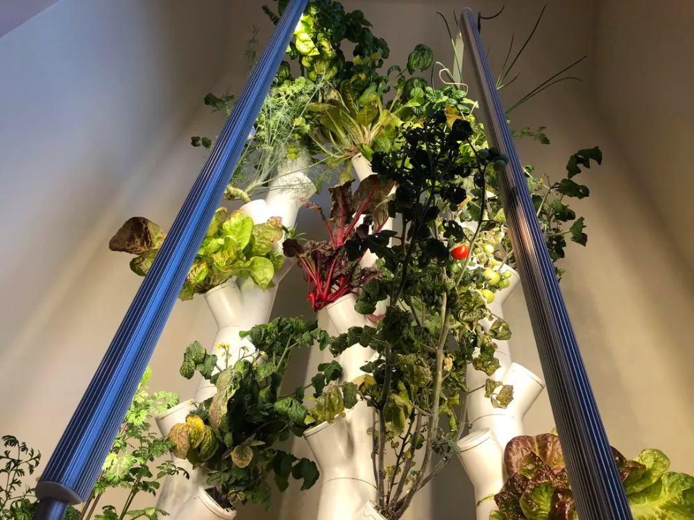 Product Indoor Farming